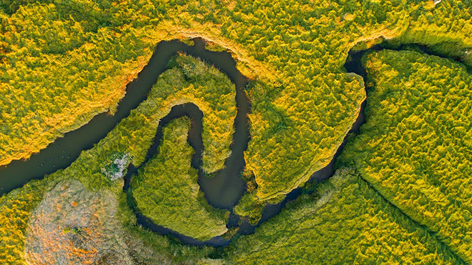Highlighting the full value of conservation investment through a Te Ao Māori lens